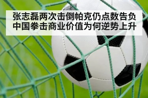张志磊两次击倒帕克仍点数告负 中国拳击商业价值为何逆势上升